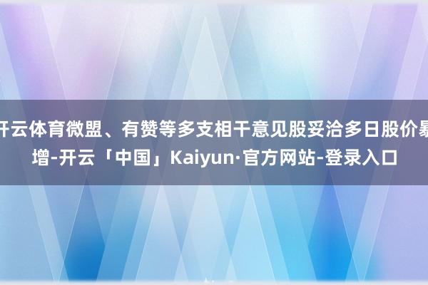 开云体育微盟、有赞等多支相干意见股妥洽多日股价暴增-开云「中国」Kaiyun·官方网站-登录入口