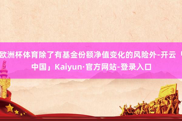 欧洲杯体育除了有基金份额净值变化的风险外-开云「中国」Kaiyun·官方网站-登录入口
