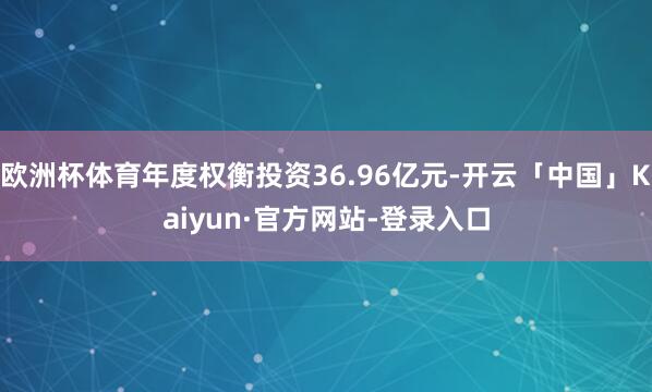 欧洲杯体育年度权衡投资36.96亿元-开云「中国」Kaiyun·官方网站-登录入口