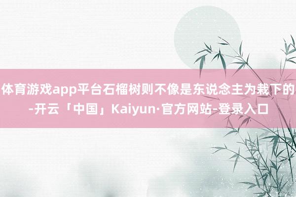 体育游戏app平台石榴树则不像是东说念主为栽下的-开云「中国」Kaiyun·官方网站-登录入口