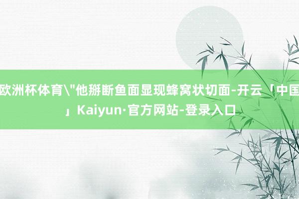 欧洲杯体育