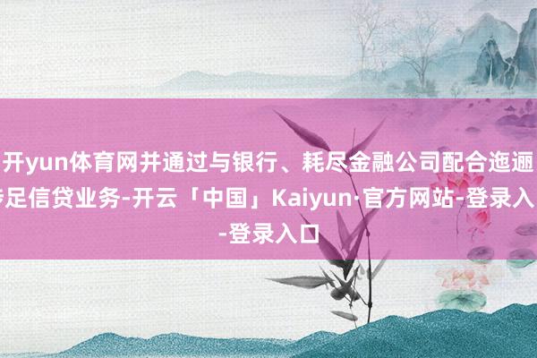 开yun体育网并通过与银行、耗尽金融公司配合迤逦涉足信贷业务-开云「中国」Kaiyun·官方网站-登录入口